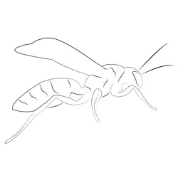 Paper Wasp Free Coloring Page for Kids