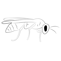 Wasp March Free Coloring Page for Kids