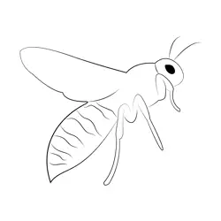 Wasp Notes And Queries Free Coloring Page for Kids