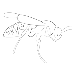 Wasp Seet Up Free Coloring Page for Kids