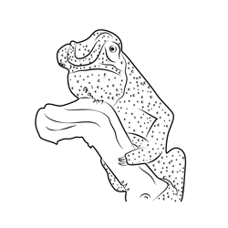 Colorful Chameleon Free Coloring Page for Kids