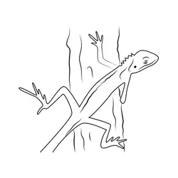 Green Chameleon Free Coloring Page for Kids