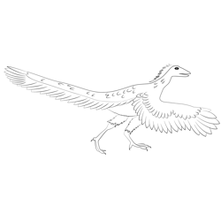 Archaeopteryx Dino Free Coloring Page for Kids