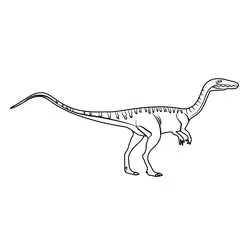 Coelophysis Free Coloring Page for Kids