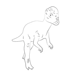 Pachycephalosaurus Dino Free Coloring Page for Kids