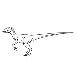 Raptor Free Coloring Page for Kids