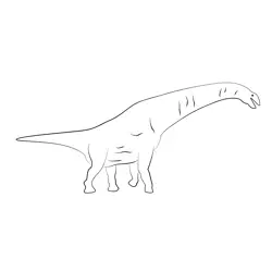 Titanosaurus Colberti