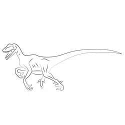 Velociraptor Wildsafari Free Coloring Page for Kids