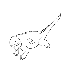 Creepy Iguana Free Coloring Page for Kids
