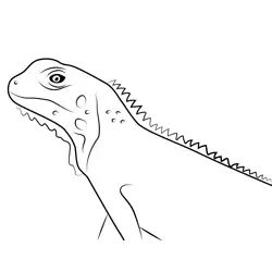 Creepy Lizard Free Coloring Page for Kids