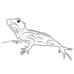 Forest Dragon Lizard Free Coloring Page for Kids