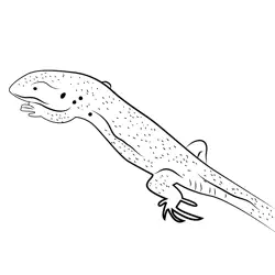 Green Lizard Free Coloring Page for Kids