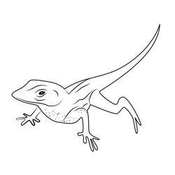 House Lizard Free Coloring Page for Kids