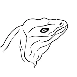 Lizard Head Free Coloring Page for Kids