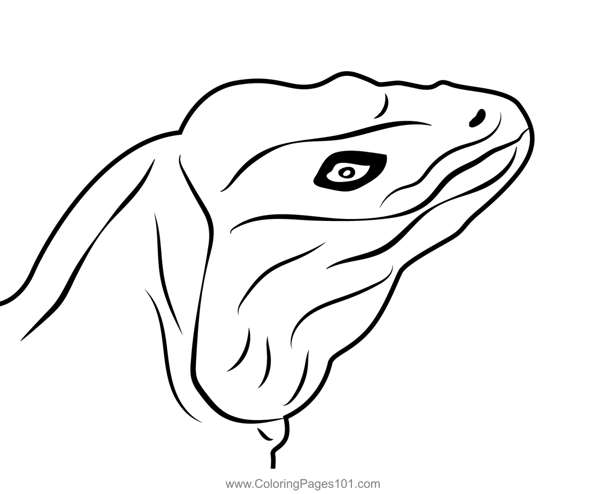 Lizard Head Coloring Page for Kids - Free Lizards Printable Coloring