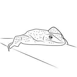 Lizard Sitting On A Terrace Free Coloring Page for Kids