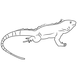 Scary Lizard Free Coloring Page for Kids