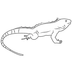 Scary Lizard Free Coloring Page for Kids