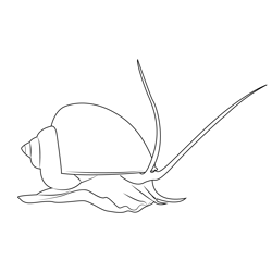 Apple Snail Free Coloring Page for Kids