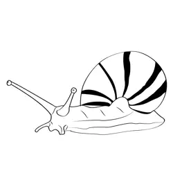 Big Snail 1 Free Coloring Page for Kids