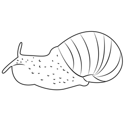 Big Snail Free Coloring Page for Kids