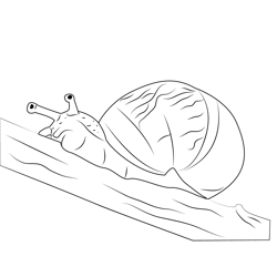 Each Snail Free Coloring Page for Kids