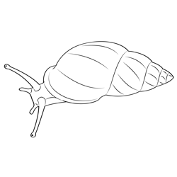 Garden Snail Free Coloring Page for Kids