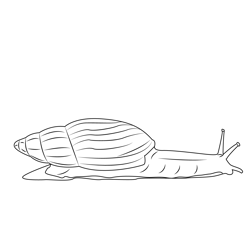 Giant African Snail Free Coloring Page for Kids
