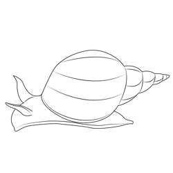 Great Pond Snail Free Coloring Page for Kids