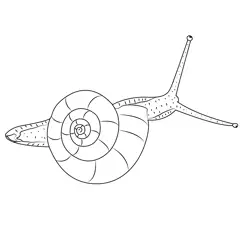 Green Snail Free Coloring Page for Kids