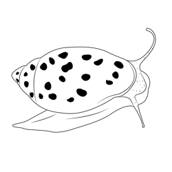 Lunged Snail Free Coloring Page for Kids