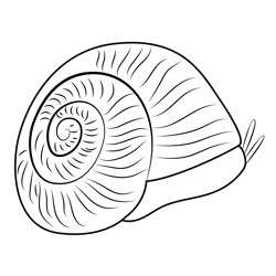 Snail On Leaf Free Coloring Page for Kids