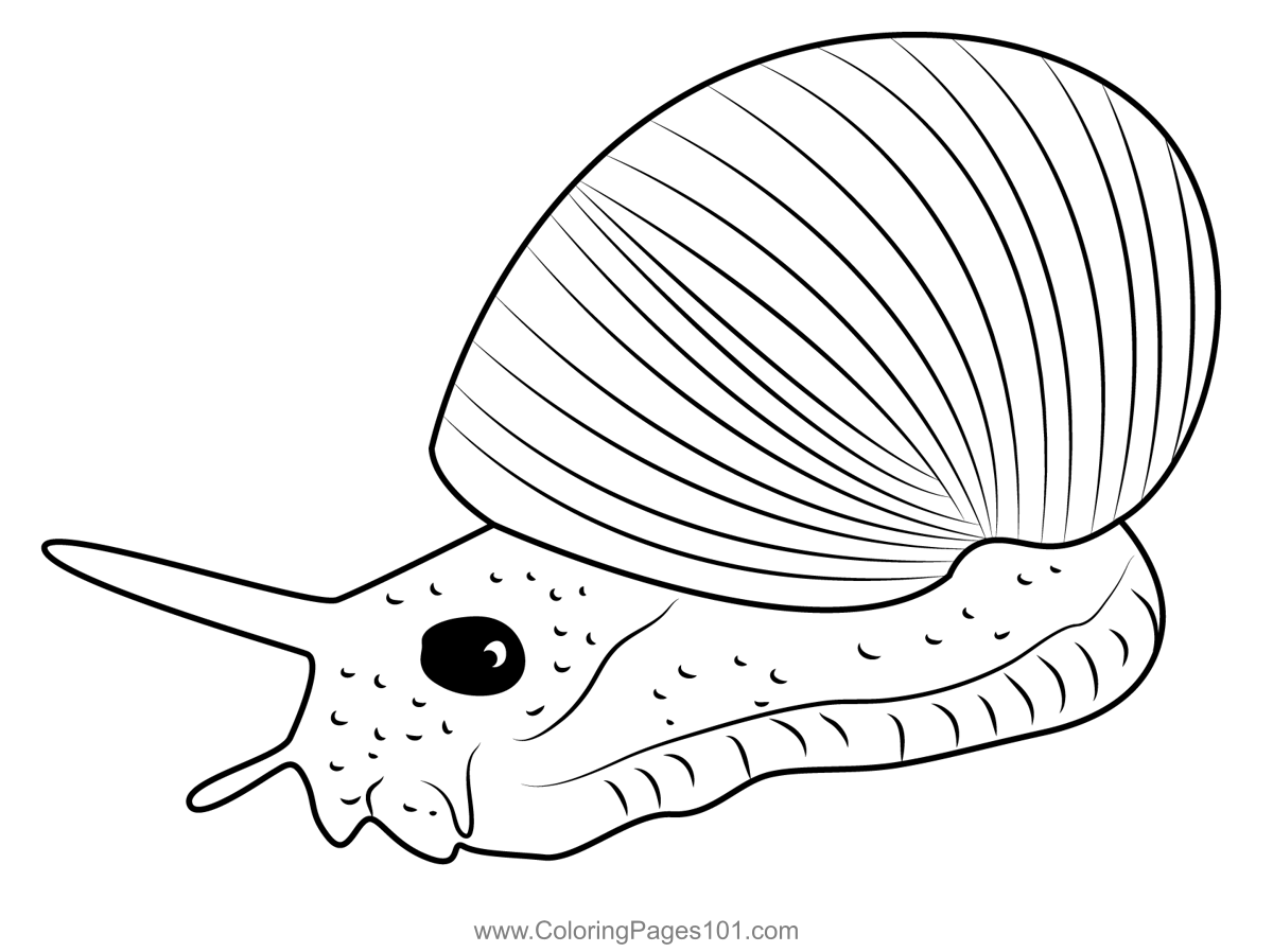 Snail On The Ground Coloring Page for Kids Free Snails Printable