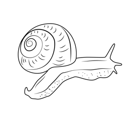 Snail Taking A Walk Free Coloring Page for Kids