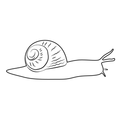 Snail With Shell Free Coloring Page for Kids