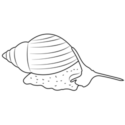 Snail Free Coloring Page for Kids