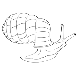 Trumpet Mouthed Hunter Snail Free Coloring Page for Kids