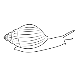 Walking Snail Free Coloring Page for Kids