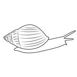 Walking Snail Free Coloring Page for Kids