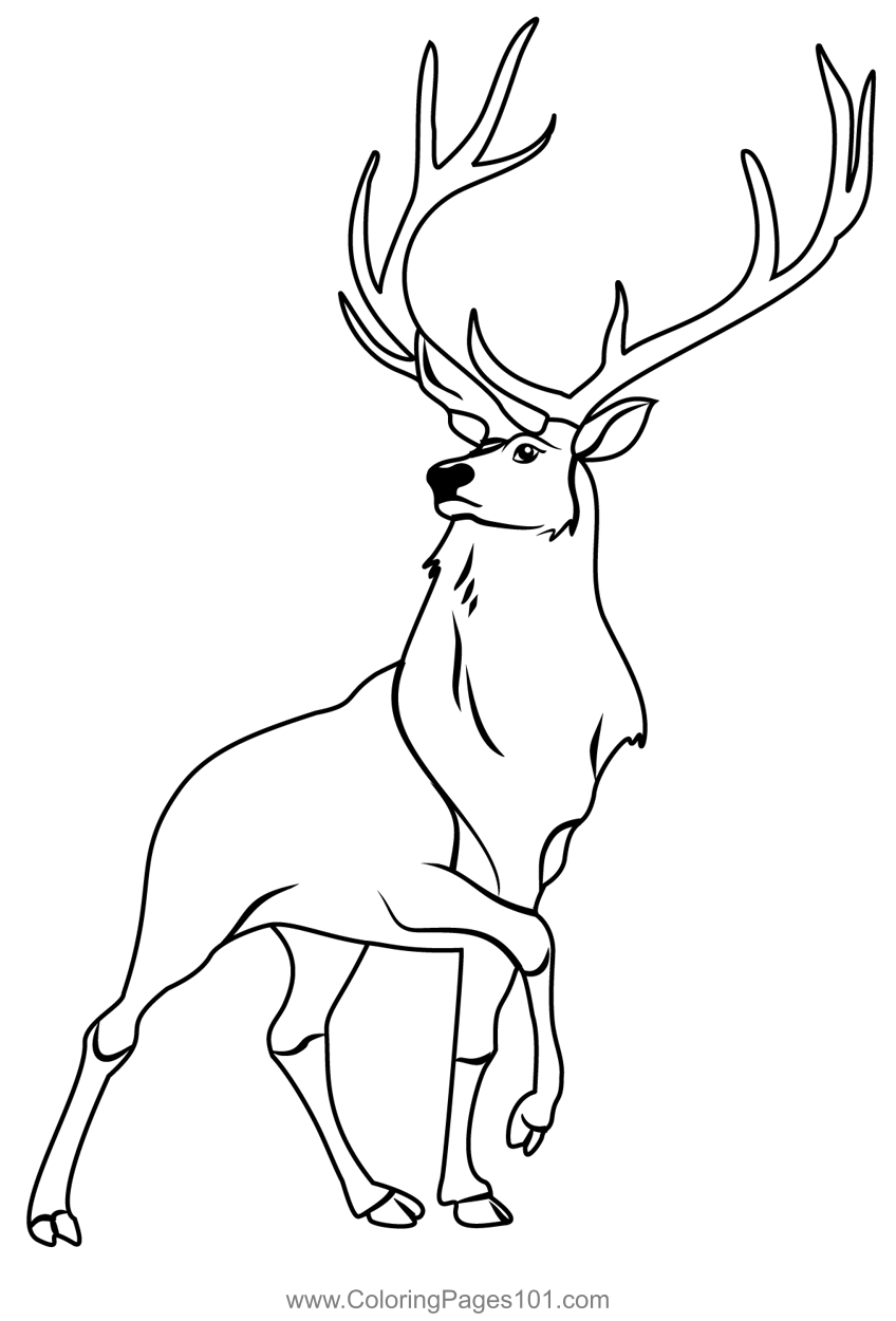 The Elk From Fantasia