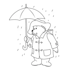 Rain Play Bear