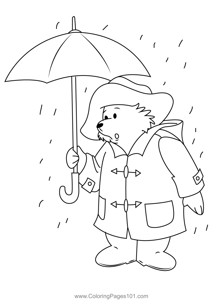 Rain Play Bear