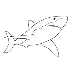 Great White Sharks Shark Tale Free Coloring Page for Kids
