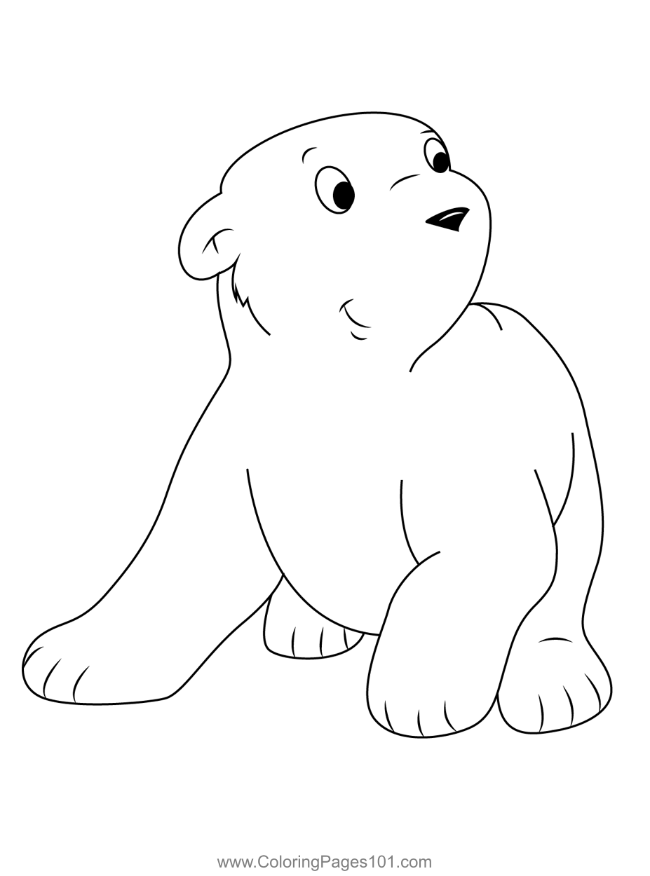 Cute Little Polar Bear