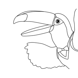 3rd & Bird 2 3rd & Bird Free Coloring Page for Kids