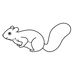 Squirrel 3rd & Bird Free Coloring Page for Kids