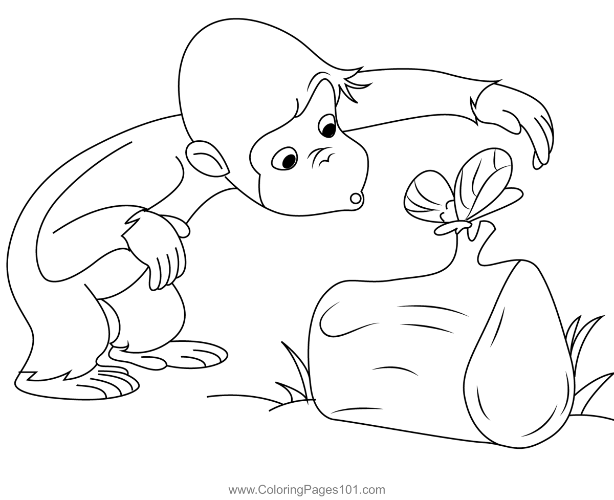 Curious George And Butterfly