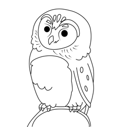 Boreal owl Molly of Denali Free Coloring Page for Kids