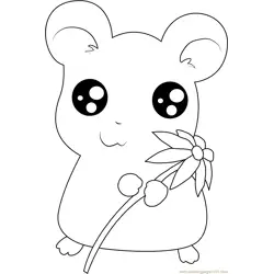 Hamtaro having Flower Free Coloring Page for Kids