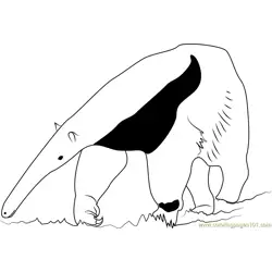 Ant Bear Free Coloring Page for Kids